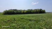 Prodej, Louka, pastvina, Moravský Beroun, cena 169000 CZK / objekt, nabízí 